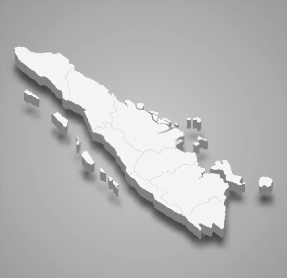 Sumatra Gayo
